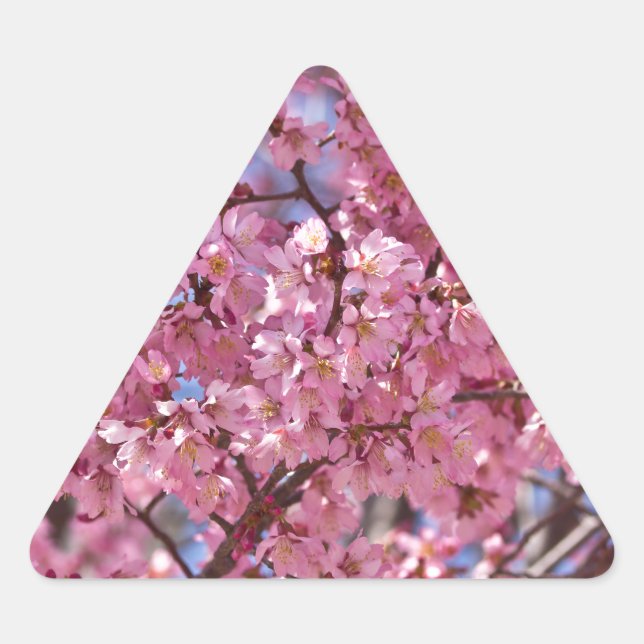 Sakura Pink Cherry Blossom Sky Triangle Sticker (Front)