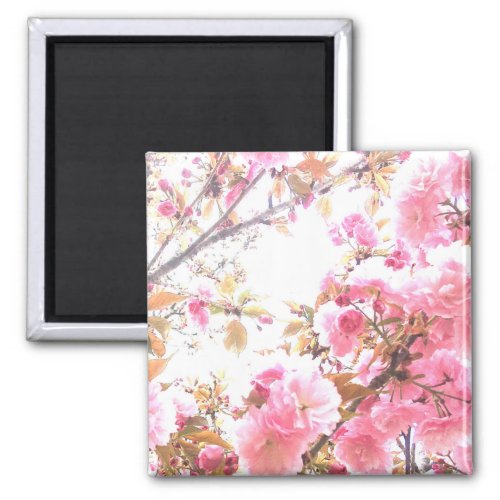 Sakura Pink Flowers Cherry Blossom Floral Patterns Magnet