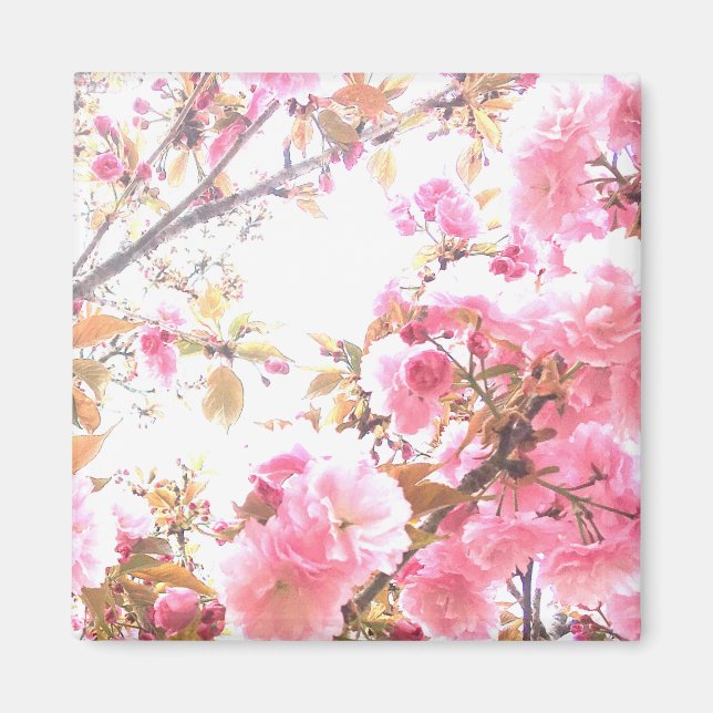 Sakura Pink Flowers Cherry Blossom Floral Patterns Magnet (Front)