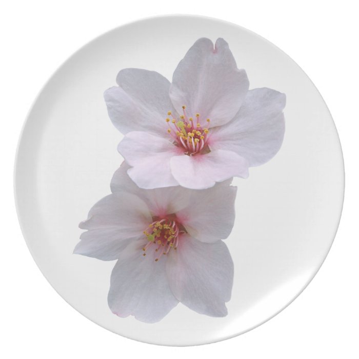 Sakura Plates