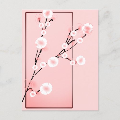 Sakura  postcard