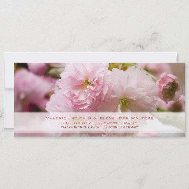 Sakura • Save the Date Announcement (Front)