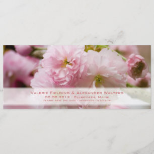 Sakura • Save the Date Announcement