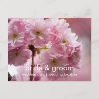 Sakura • Save the Date Postcard