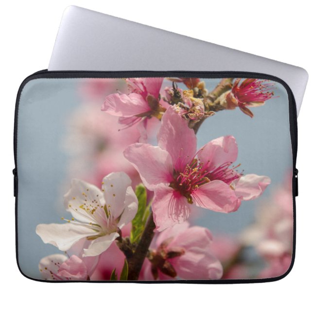 Sakura Splendor: Pink Japanese Flower Photography Laptop Sleeve (Front)