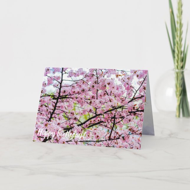 Sakura Tree In Full Pink Bloom In Springtime Card (Front)