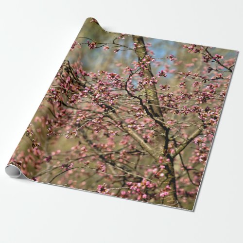 Sakura Tree Is Ready To Bloom In Spring Wrapping Paper