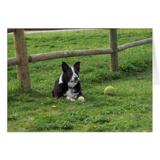 Sal_portrait2 (Front Horizontal)