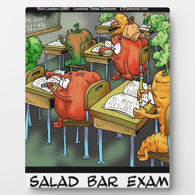 Salad Bar Exam Funny Plaque (Front)