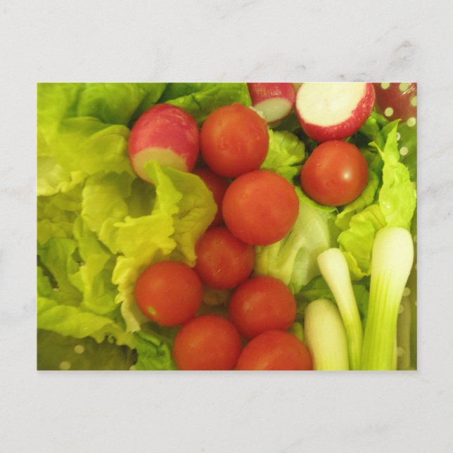Salad Vegetables Postcard (Front)