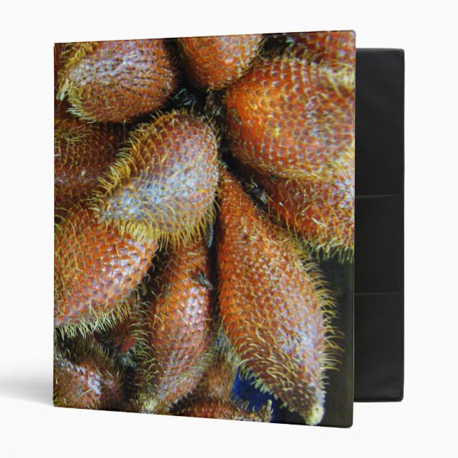 Salak [Snake Fruit] 3 Ring Binder (Front/Inside)