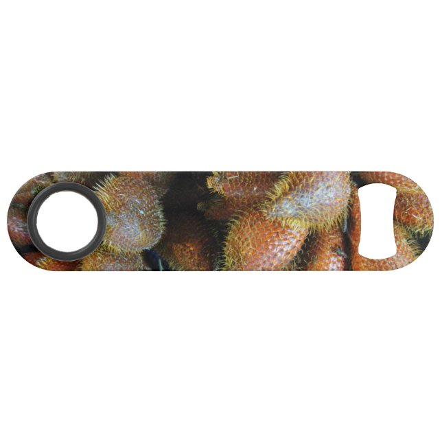 Salak [Snake Fruit] Bar Key (Front (Horizontal))