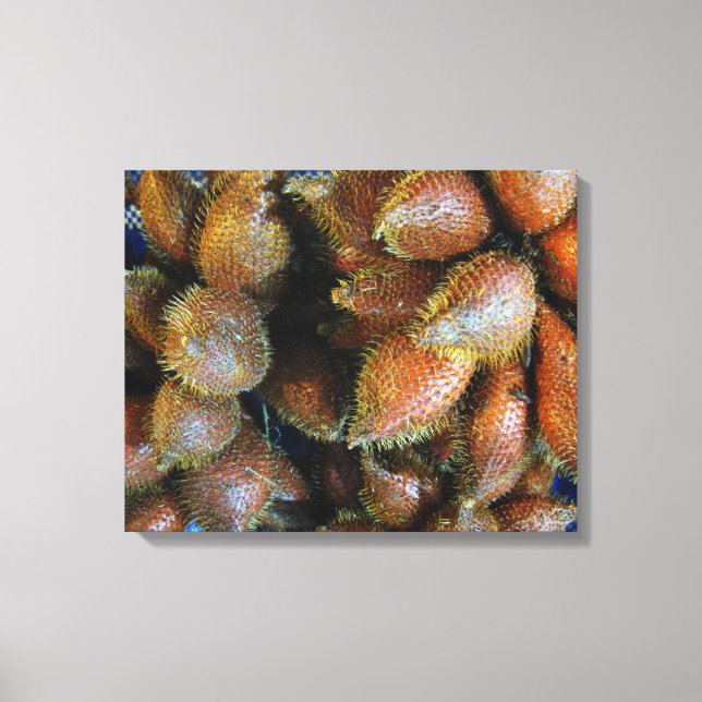 Salak [Snake Fruit] Canvas Print (Front)