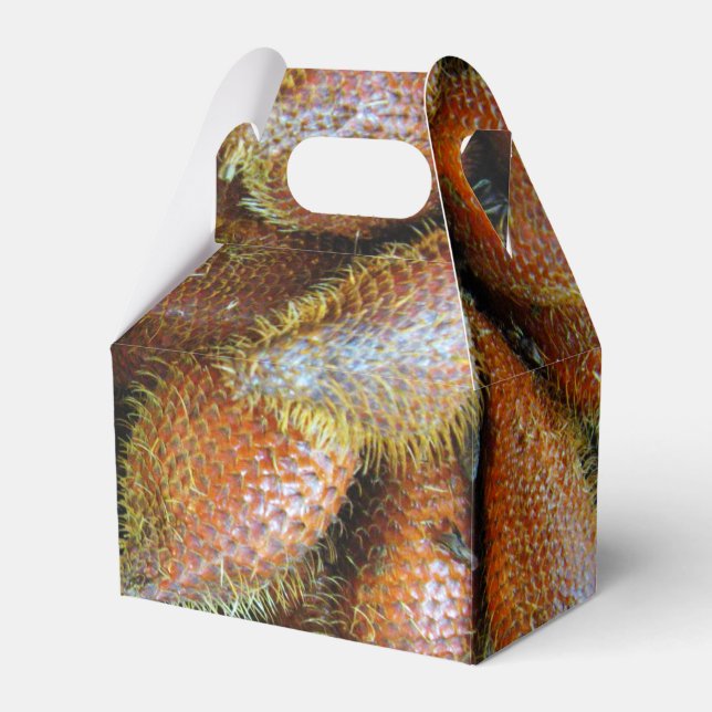Salak [Snake Fruit] Favor Boxes (Front Side)