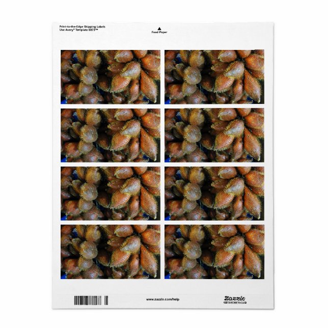Salak [Snake Fruit] Label (Full Sheet)