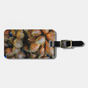 Salak [Snake Fruit] Luggage Tag