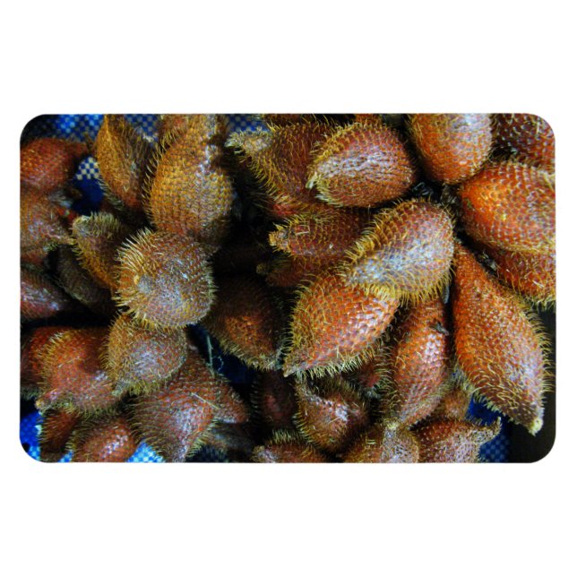 Salak [Snake Fruit] Magnet (Horizontal)