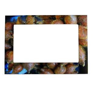 Salak [Snake Fruit] Magnetic Frame