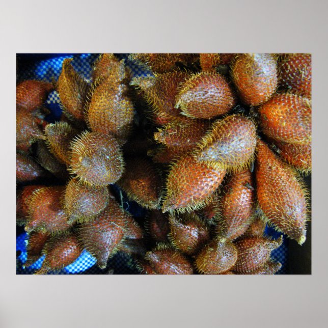 Salak [Snake Fruit] Poster (Front)