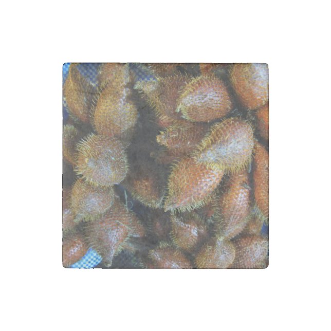 Salak [Snake Fruit] Stone Magnet (Front)