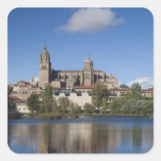 Salamanca Cathedrals and town Square Sticker (Front)