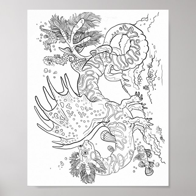 Salamandarin Sea Dragon Line Art Color your Own Poster (Front)