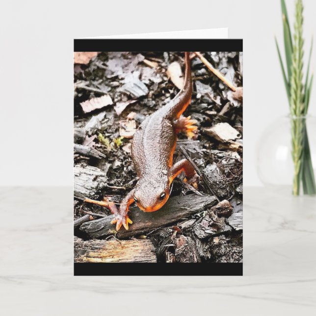 Salamander in the Forest, Oregon Card (Front)