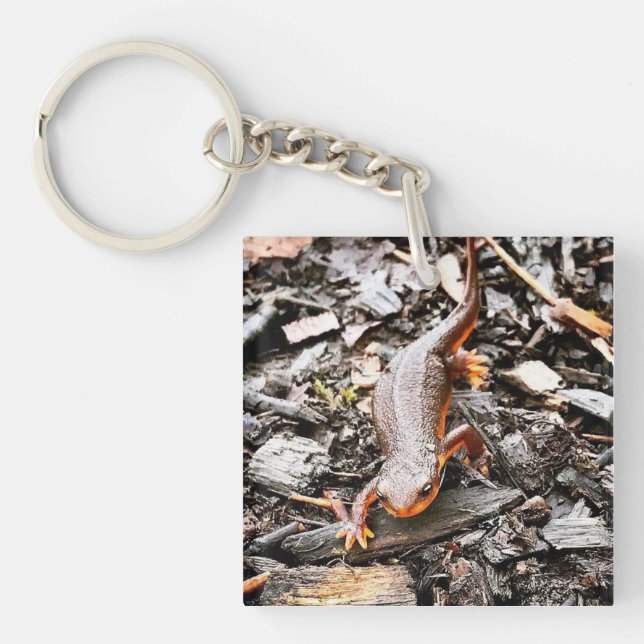 Salamander in the Forest, Oregon Keychain (Front)