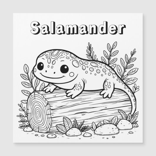 Salamander | Kid's Coloring Page (Front)