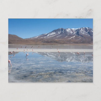 SALAR DE UYUNI SALT FLAT, BOLIVIA POSTCARD