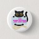 Salem Black Cat Not Superstitious 
