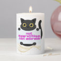 Salem Black Cat  - 