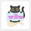 Salem Black Cat Not Superstitious 
