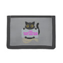 Salem Black Cat  - 
