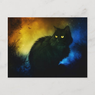 Salem Night Postcard