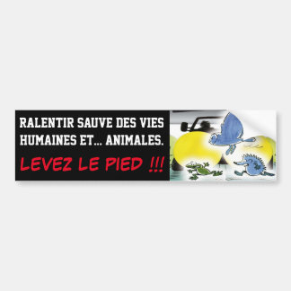 SALENTING HUMAN AND ANIMAL LIVES BUMPER STICKER
