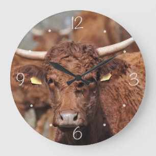 Salers brown horned cow large clock