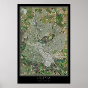 Salinas California Satellite Poster Map
