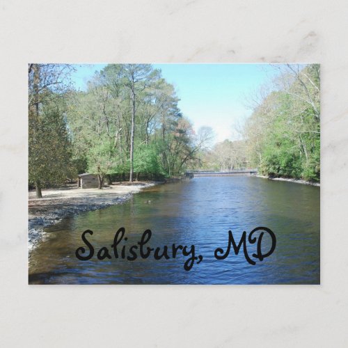 Salisbury Zoo MD Postcard