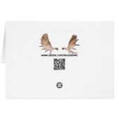 Salish Island Cards (Back Horizontal)