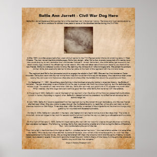 Sallie Ann Jarrett, Civil War Dog Hero Poster