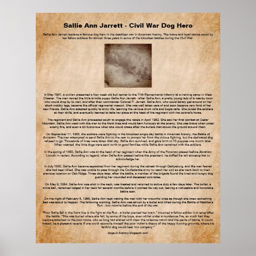 Sallie Ann Jarrett Civil War Dog Hero Poster