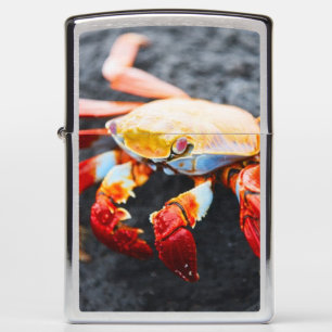Sally lightfoot crab on a black lava rock zippo lighter