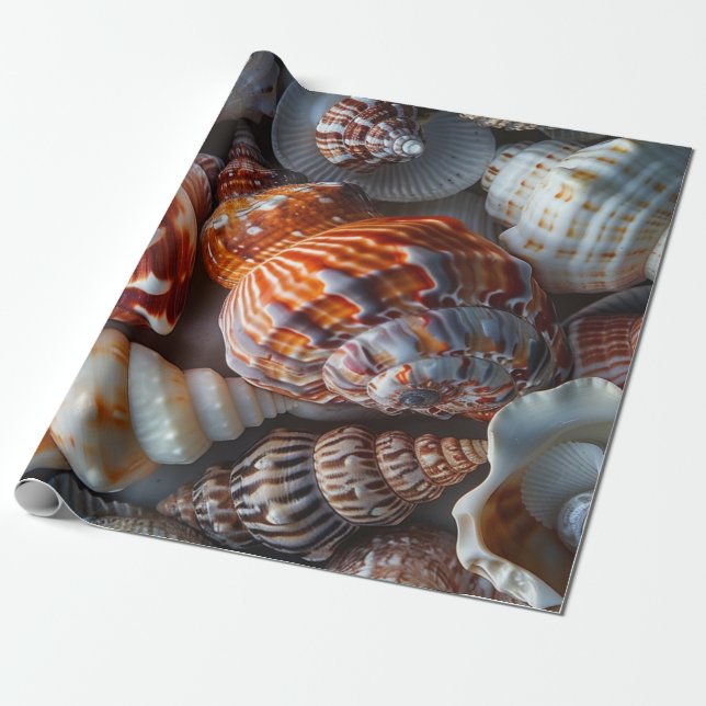 Sally Sells Shells Wrapping Paper (Unrolled)