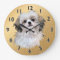Sally Shih Tzu