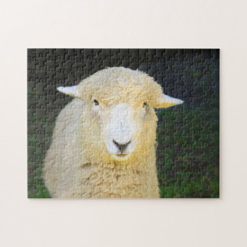 Sally The Sheep Jigsaw Puzzle