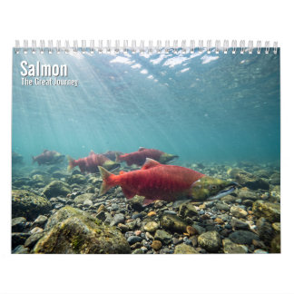 Salmon 2027 Wall calendar