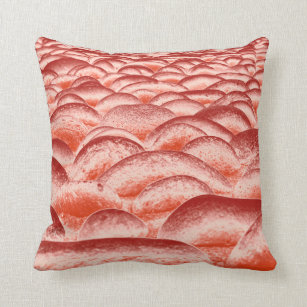 Salmon and Peach Rockscape  Throw Pillow