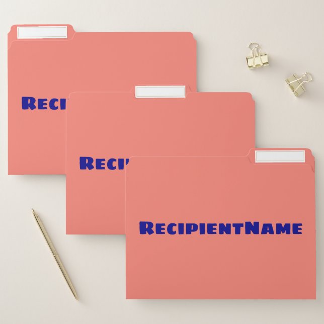 Salmon Background w/ Dark Blue Bold Name File Folder (Set)