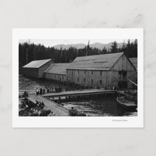 Salmon Cannery near Ketchikan, Alaska Postcard